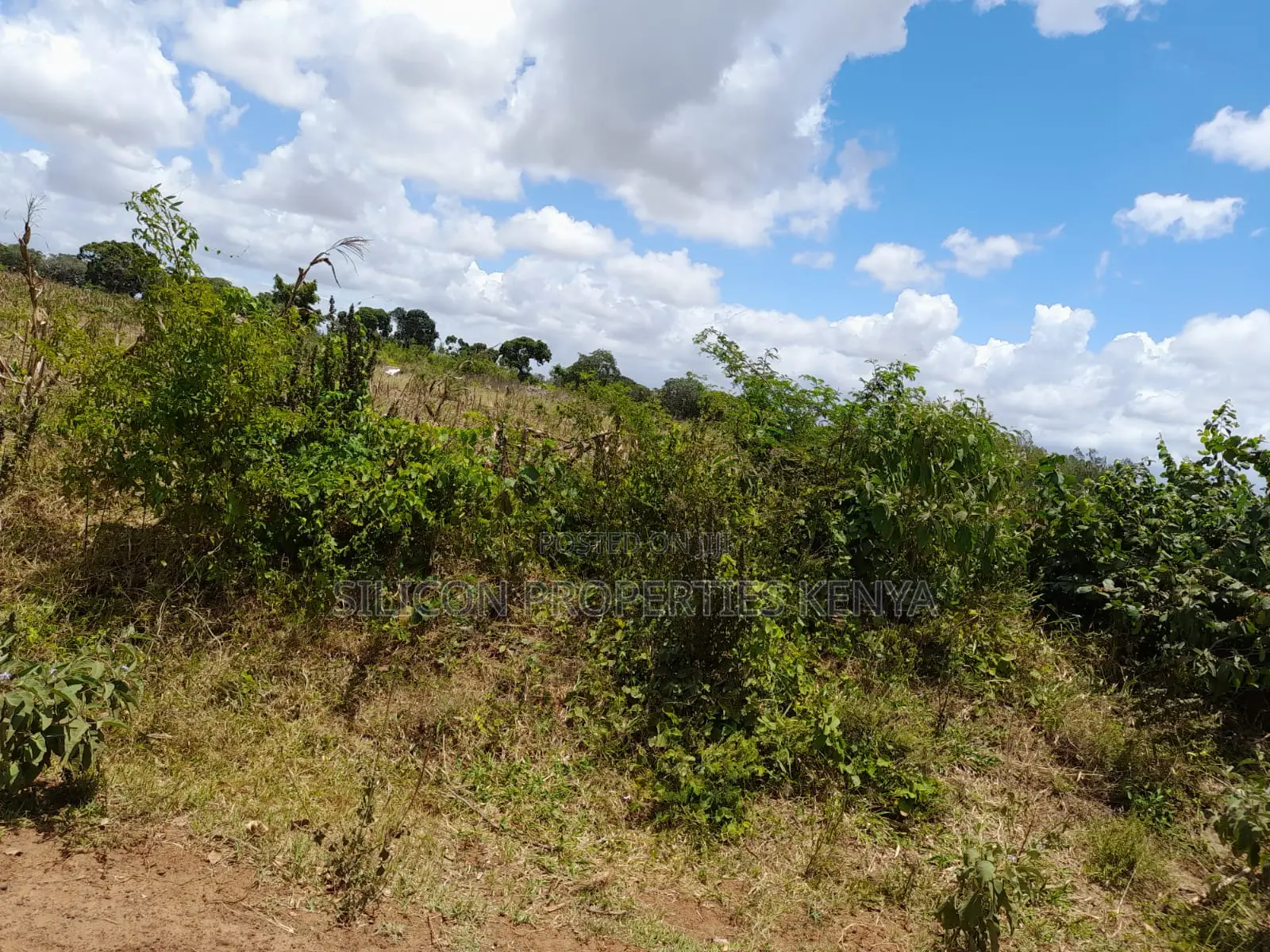 18-Acre Plot in Kidomaya, Kwale County in Ukunda