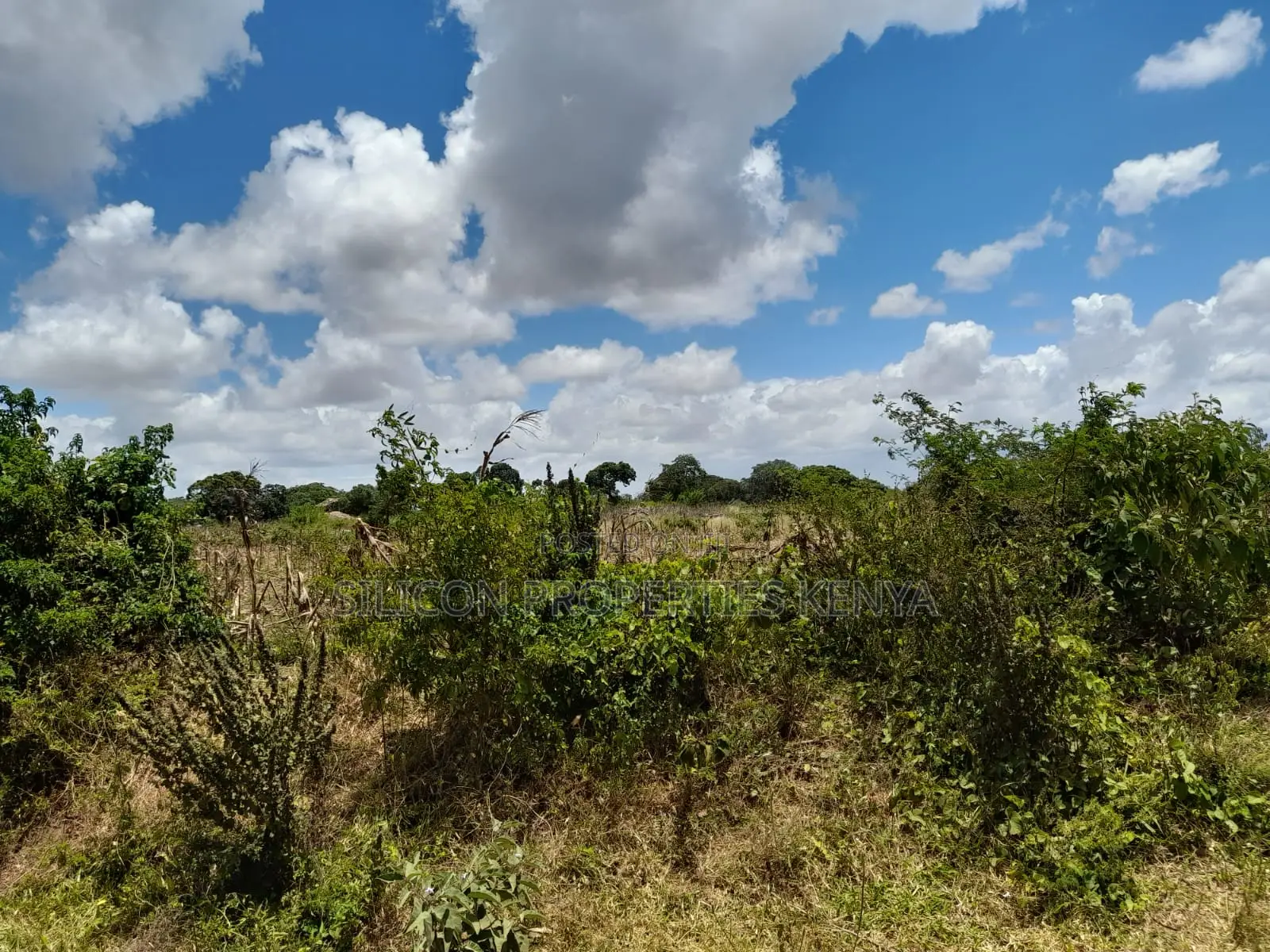 18-Acre Plot in Kidomaya, Kwale County in Ukunda