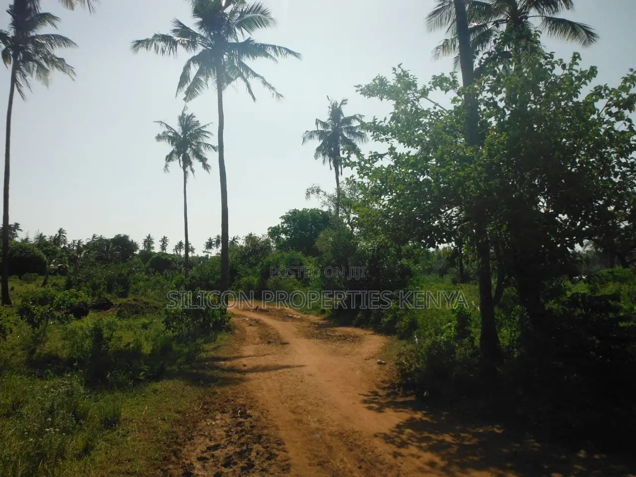2-Acre Coastal Land in Msambweni in Ukunda