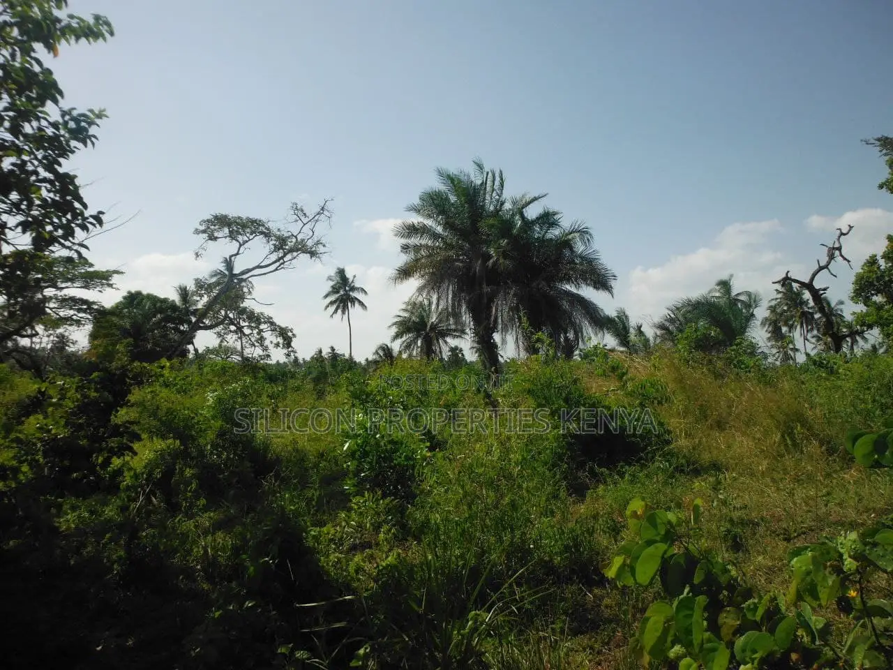 2-Acre Coastal Land in Msambweni in Ukunda
