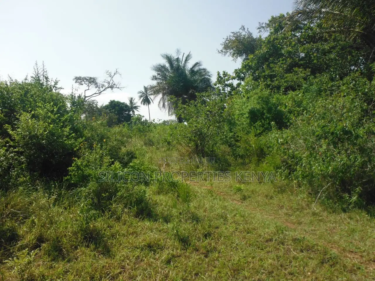 2-Acre Coastal Land in Msambweni in Ukunda