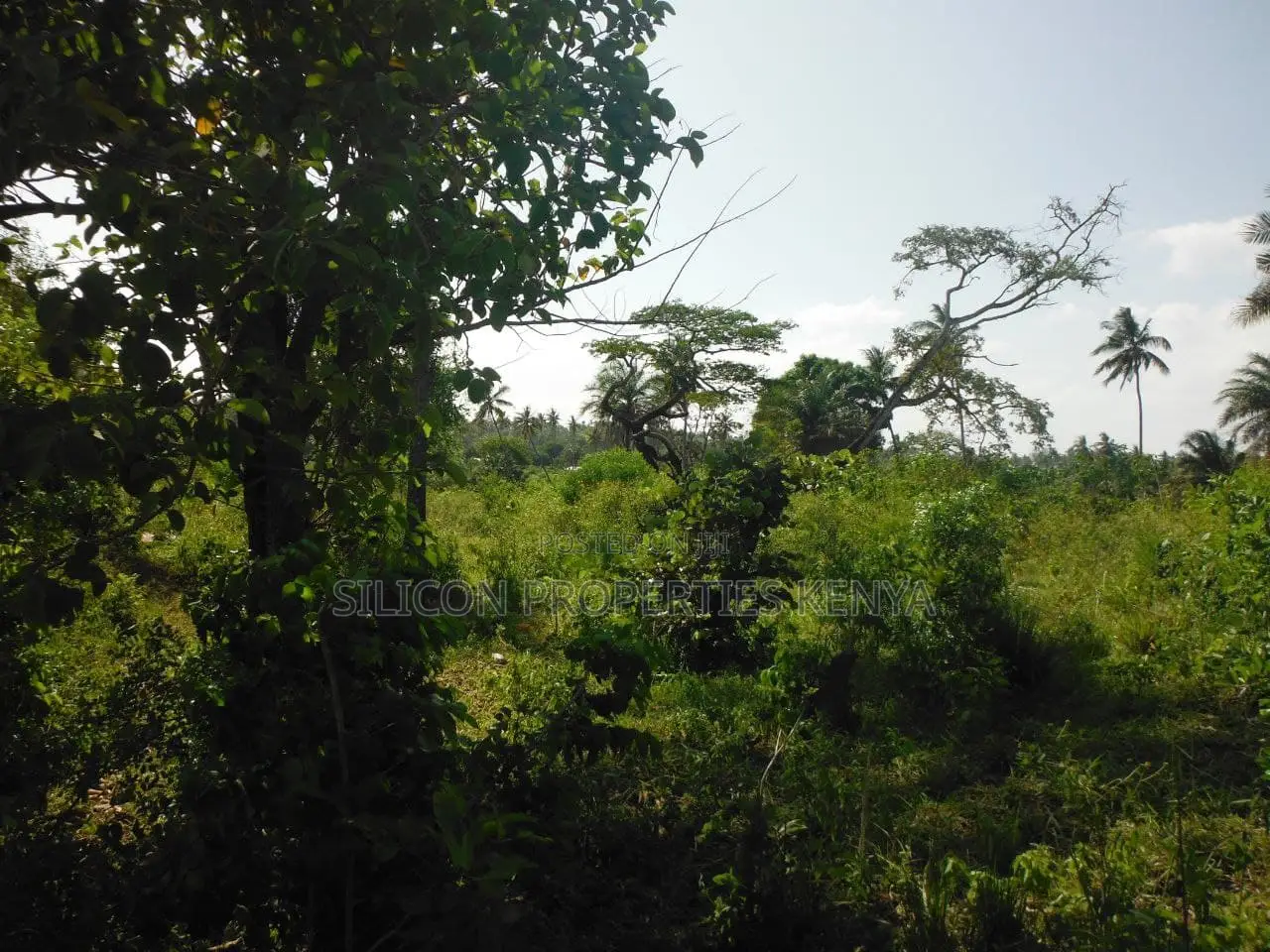 2-Acre Coastal Land in Msambweni in Ukunda