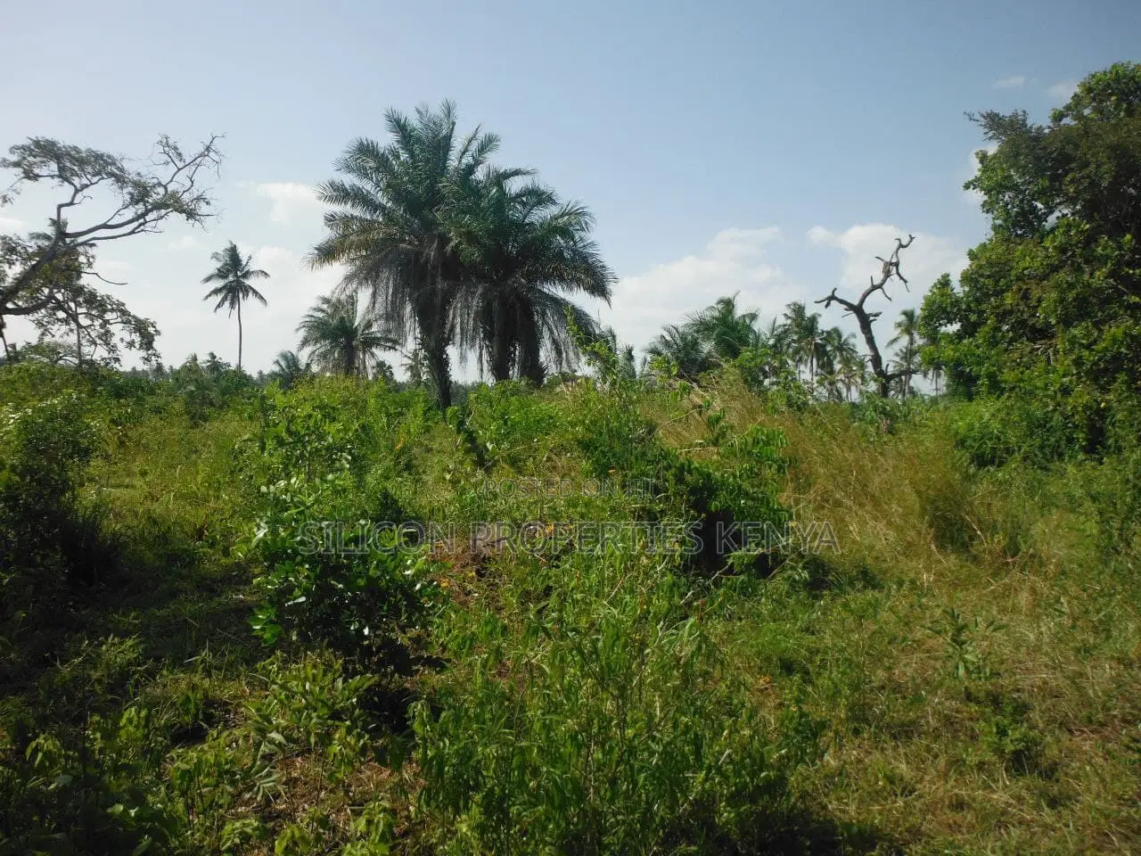 2-Acre Coastal Land in Msambweni in Ukunda
