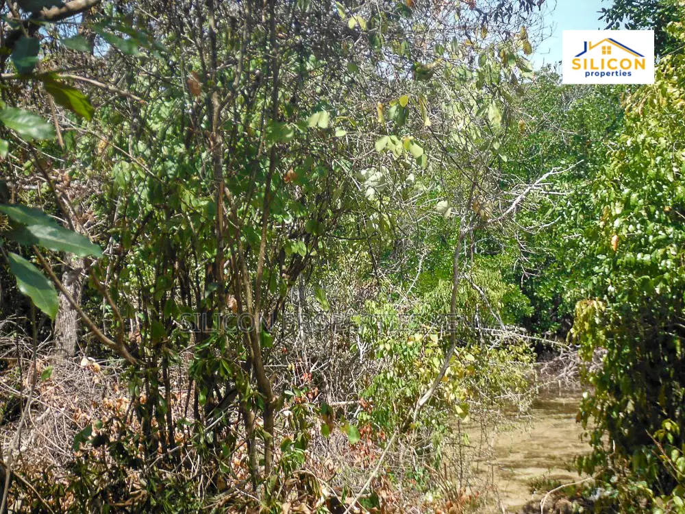 4-Acre Beachfront Land in Shimoni in Ukunda