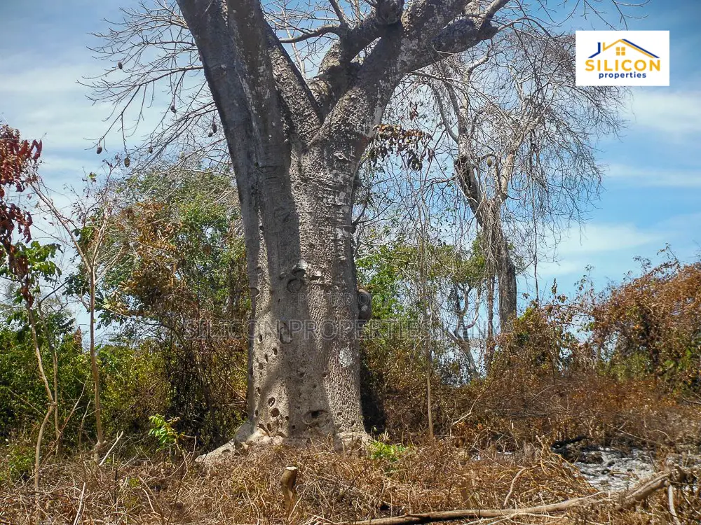4-Acre Beachfront Land in Shimoni in Ukunda