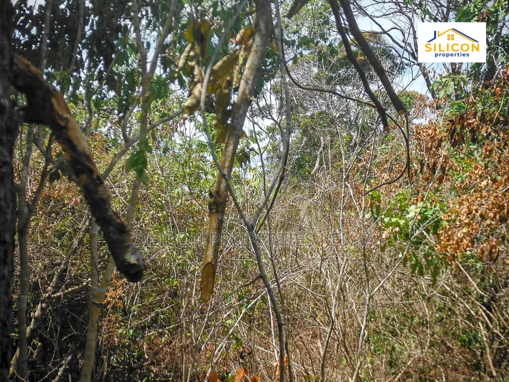 4-Acre Beachfront Land in Shimoni in Ukunda