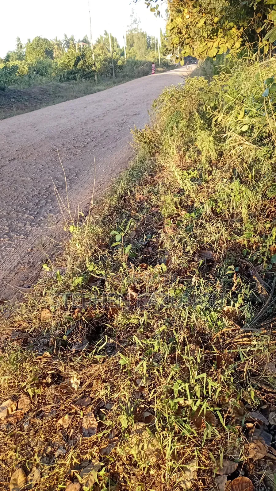 Nice 1/8 Acre Plot Only 1.3 Kilometre From the Lungalunga Highway Road in Ukunda