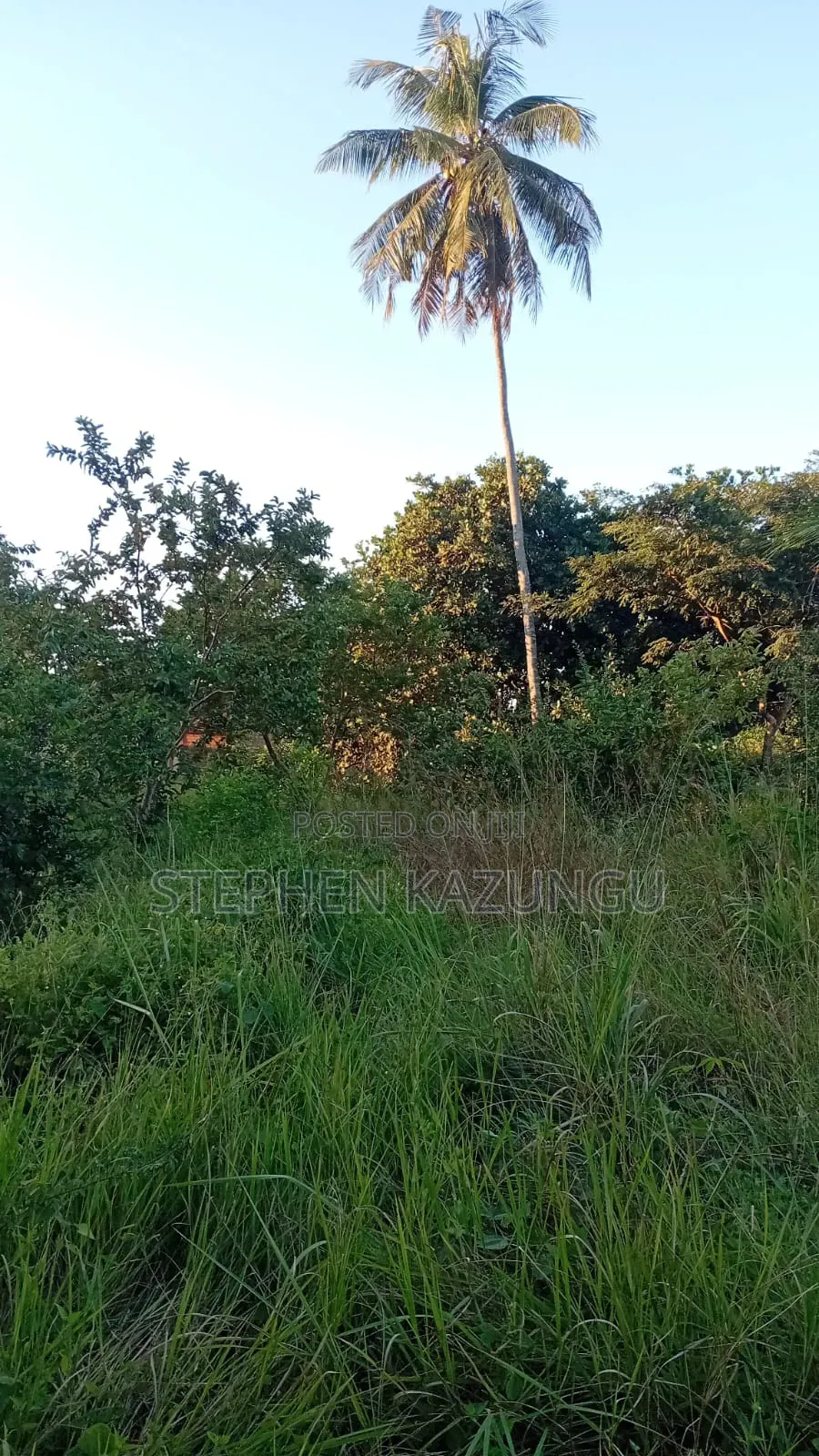 Nice 1/8 Acre Plot Only 1.3 Kilometre From the Lungalunga Highway Road in Ukunda