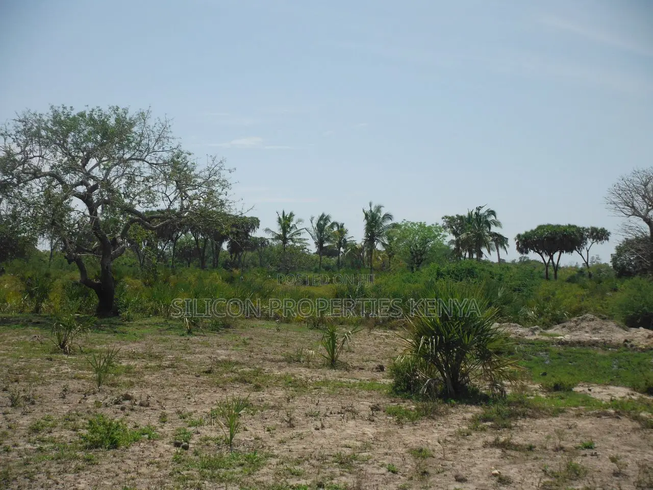 20-Acre Plot in Kidimu, Kwale County in Ukunda