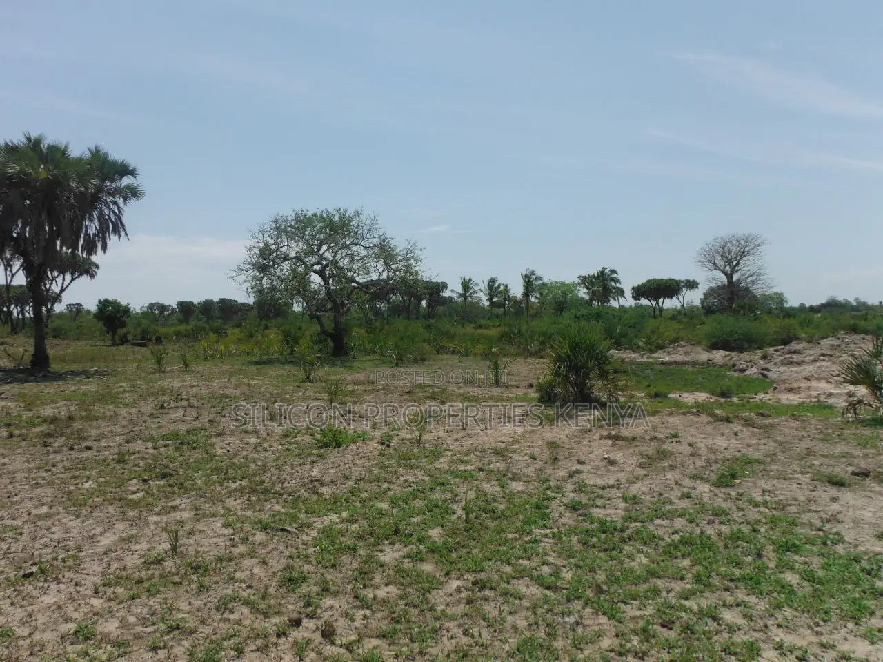 20-Acre Plot in Kidimu, Kwale County in Ukunda