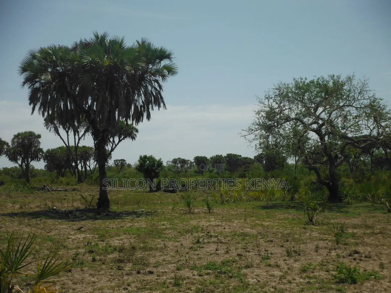20-Acre Plot in Kidimu, Kwale County in Ukunda