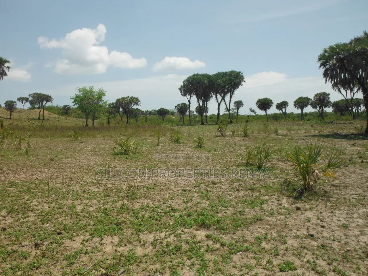 20-Acre Plot in Kidimu, Kwale County in Ukunda