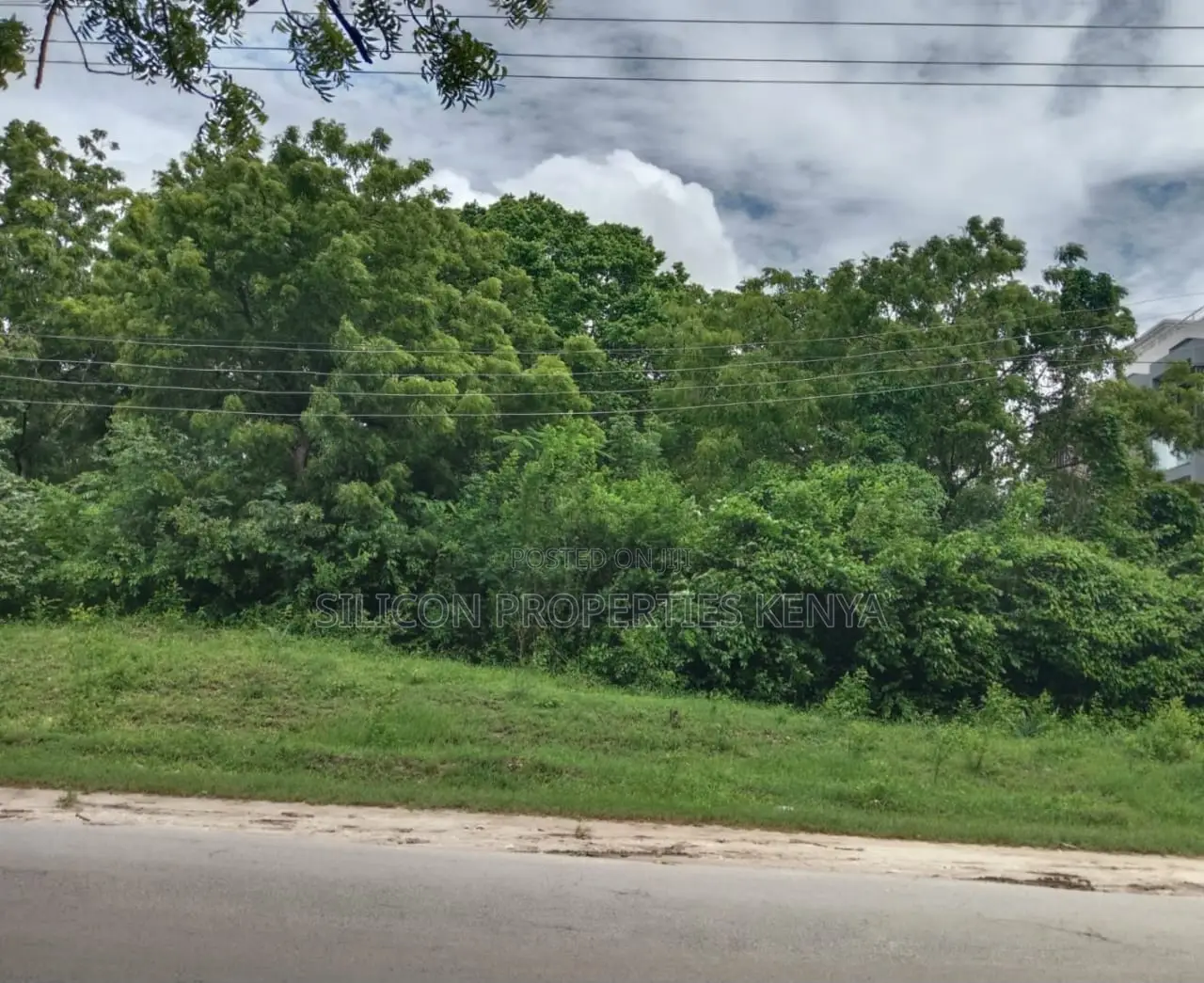 3.25 Acres for Sale in Diani - Touching the Main Road in Diani
