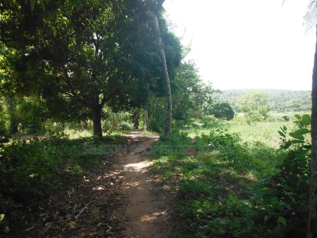4-Acre Plot in Msambweni Just a 10-Minute Walk From the Ocean in Diani