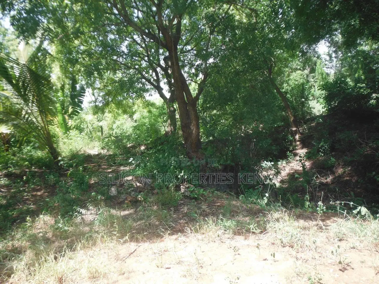 4-Acre Plot in Msambweni Just a 10-Minute Walk From the Ocean in Diani