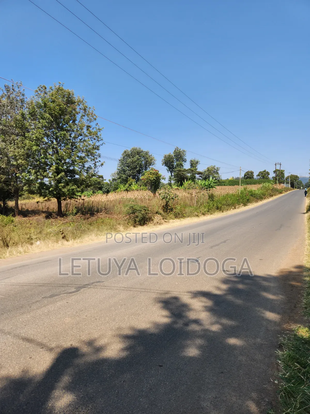 9 Acres Prime Land Ngong-Olkeri in Ol Keri