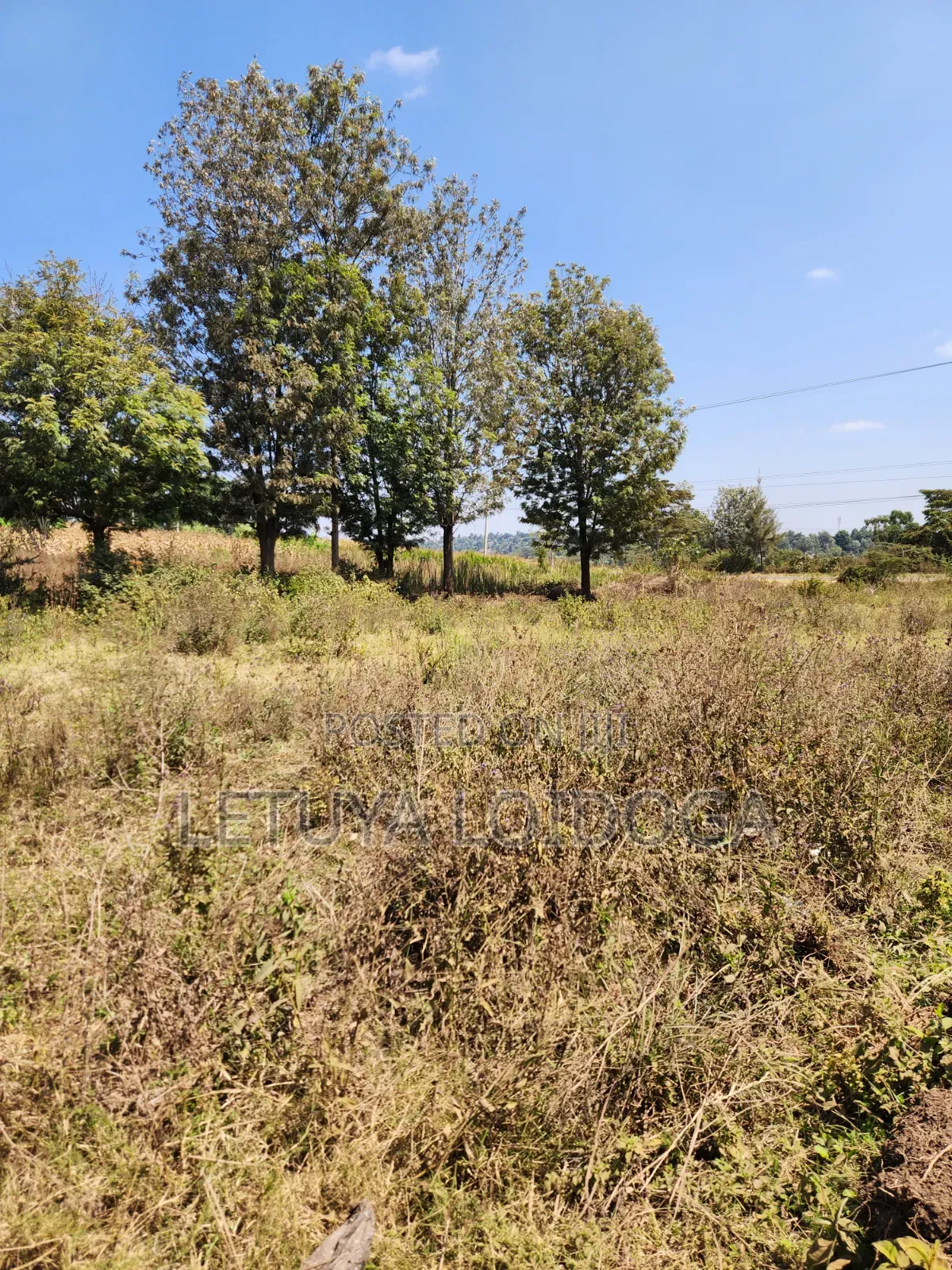 9 Acres Prime Land Ngong-Olkeri in Ol Keri