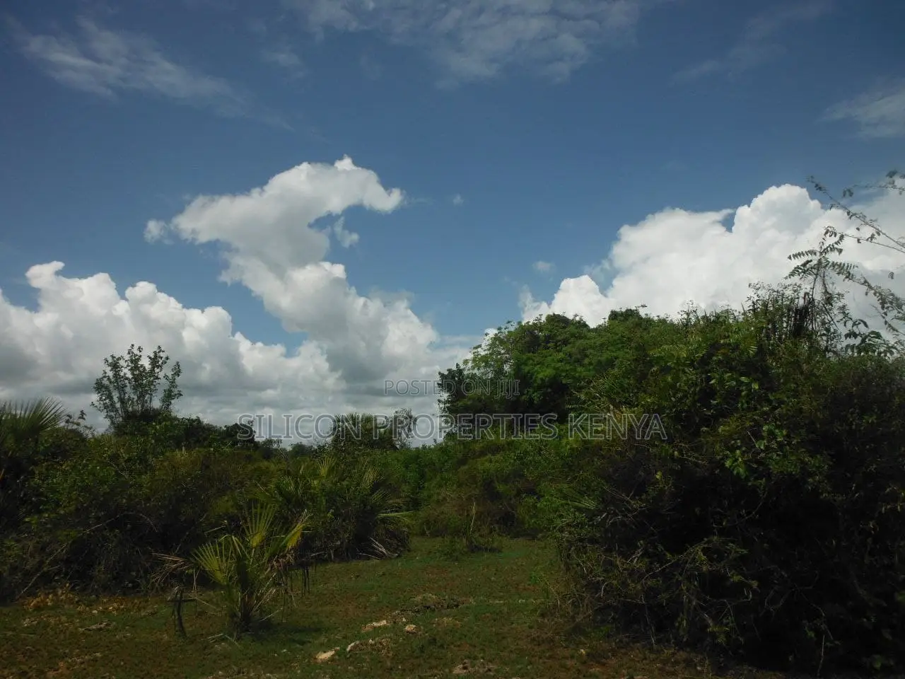 3.5-Acre Plot in Msambweni in Diani