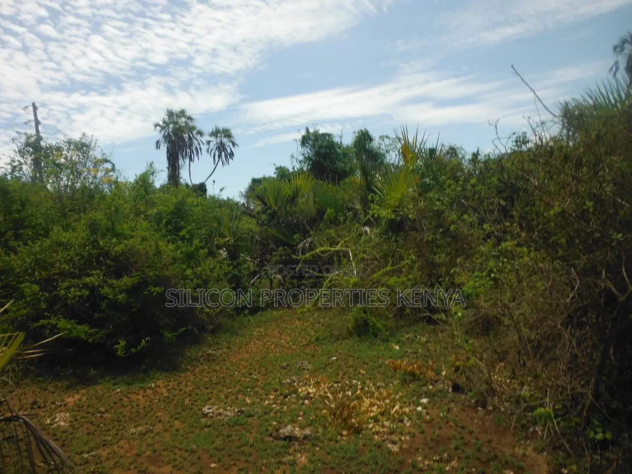 3.5-Acre Plot in Msambweni in Diani