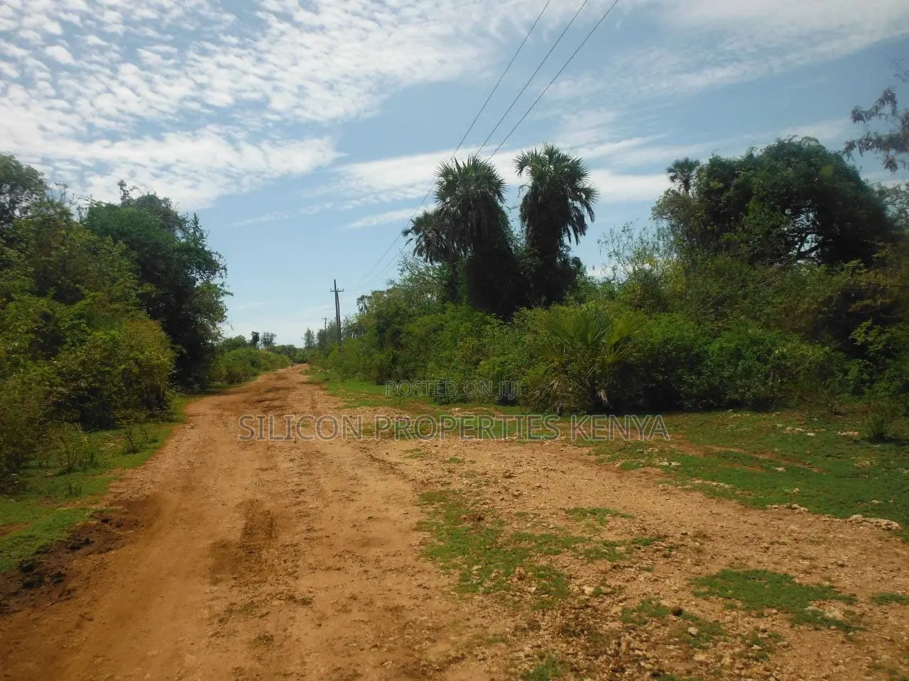 3.5-Acre Plot in Msambweni in Diani