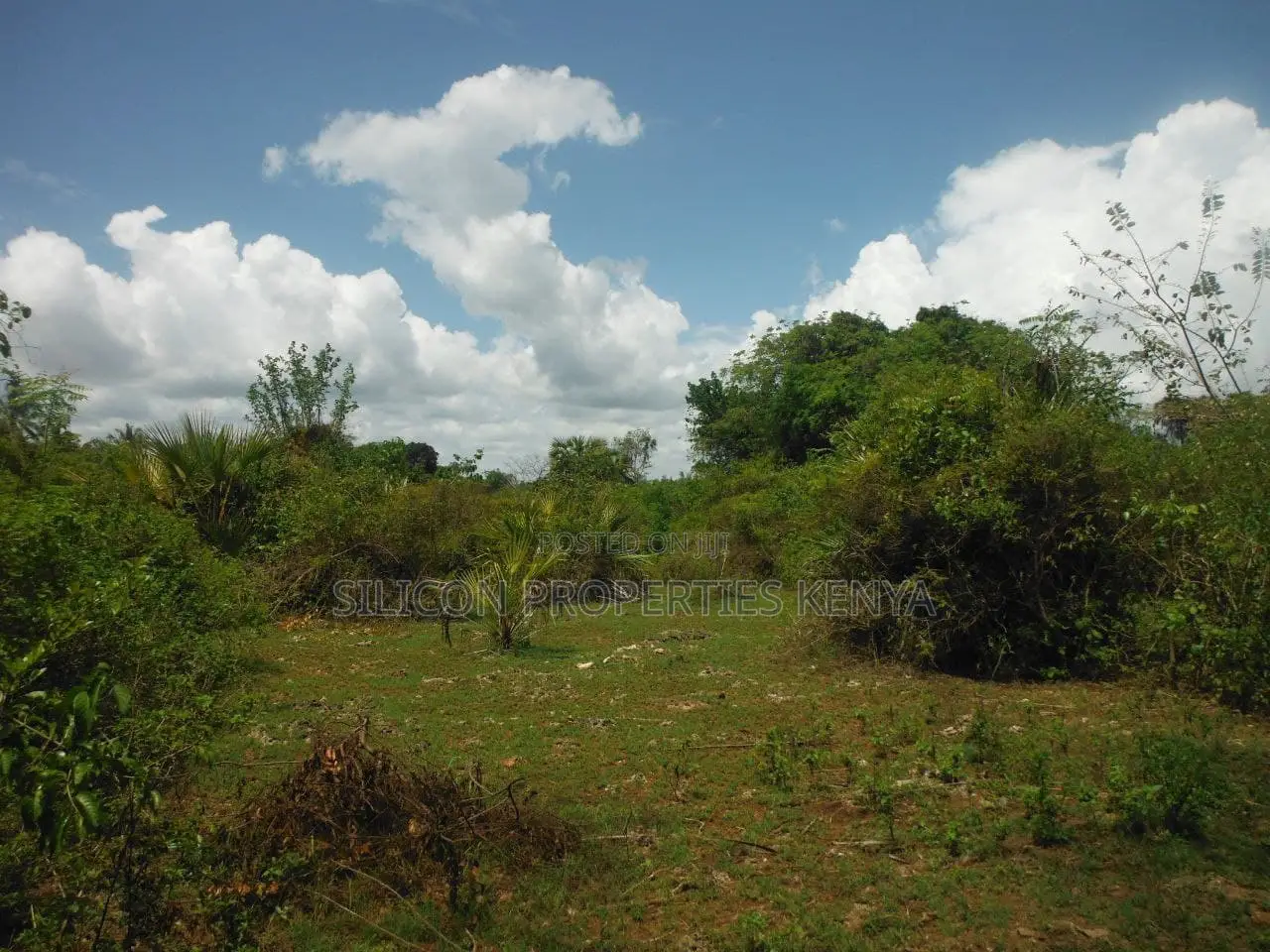 3.5-Acre Plot in Msambweni in Diani
