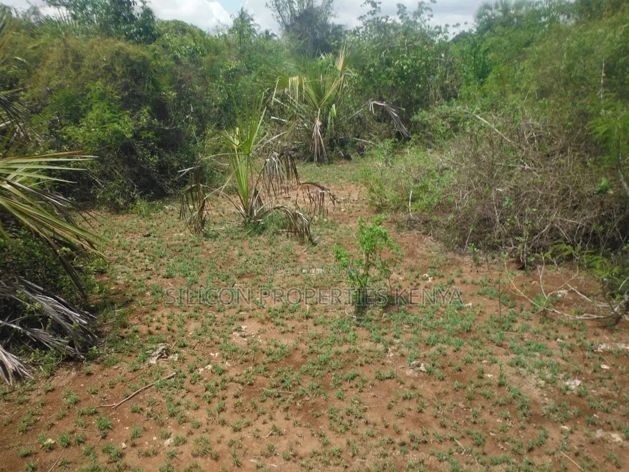 3.5-Acre Plot in Msambweni in Diani