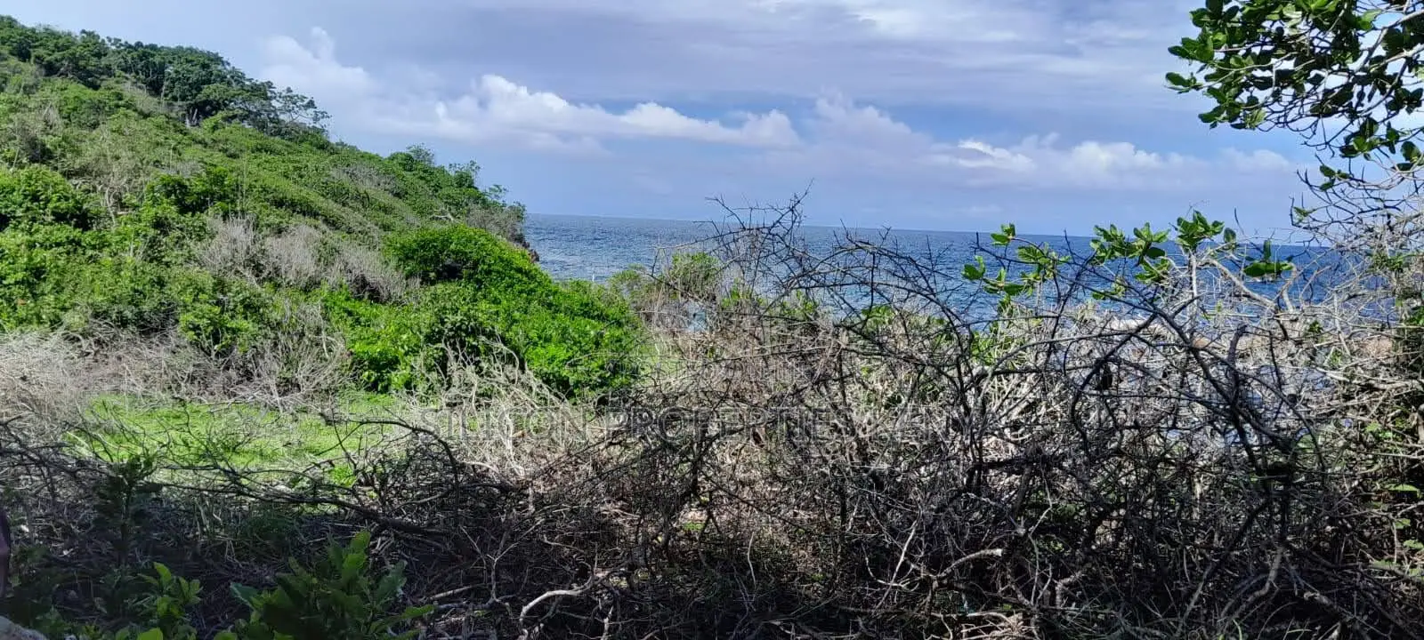 Beachfront Plots for Sale in Shimoni – KES 13M Per Acre in Diani