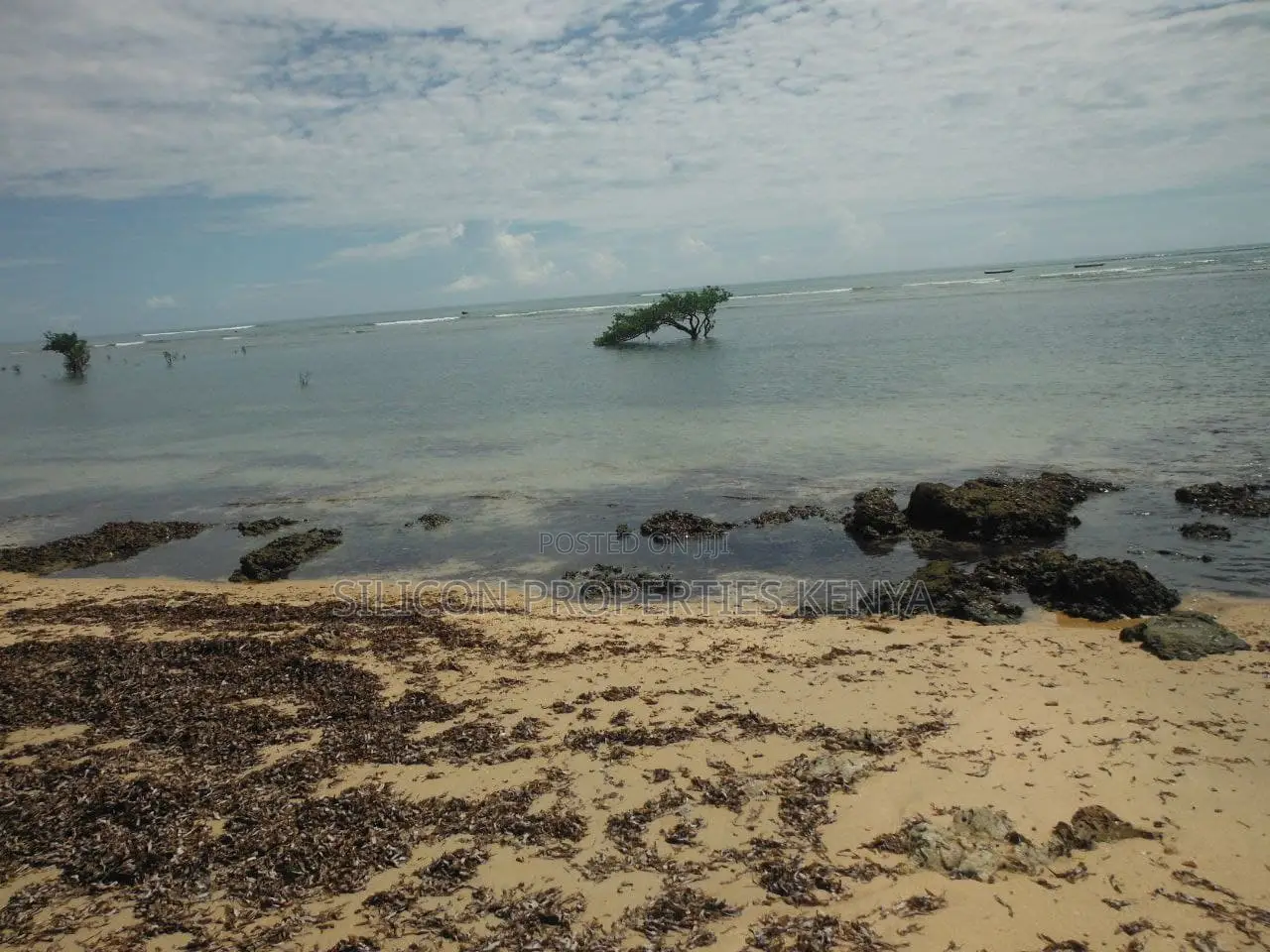 5-Acre Coral Beachfront Plot in Msambweni in Diani