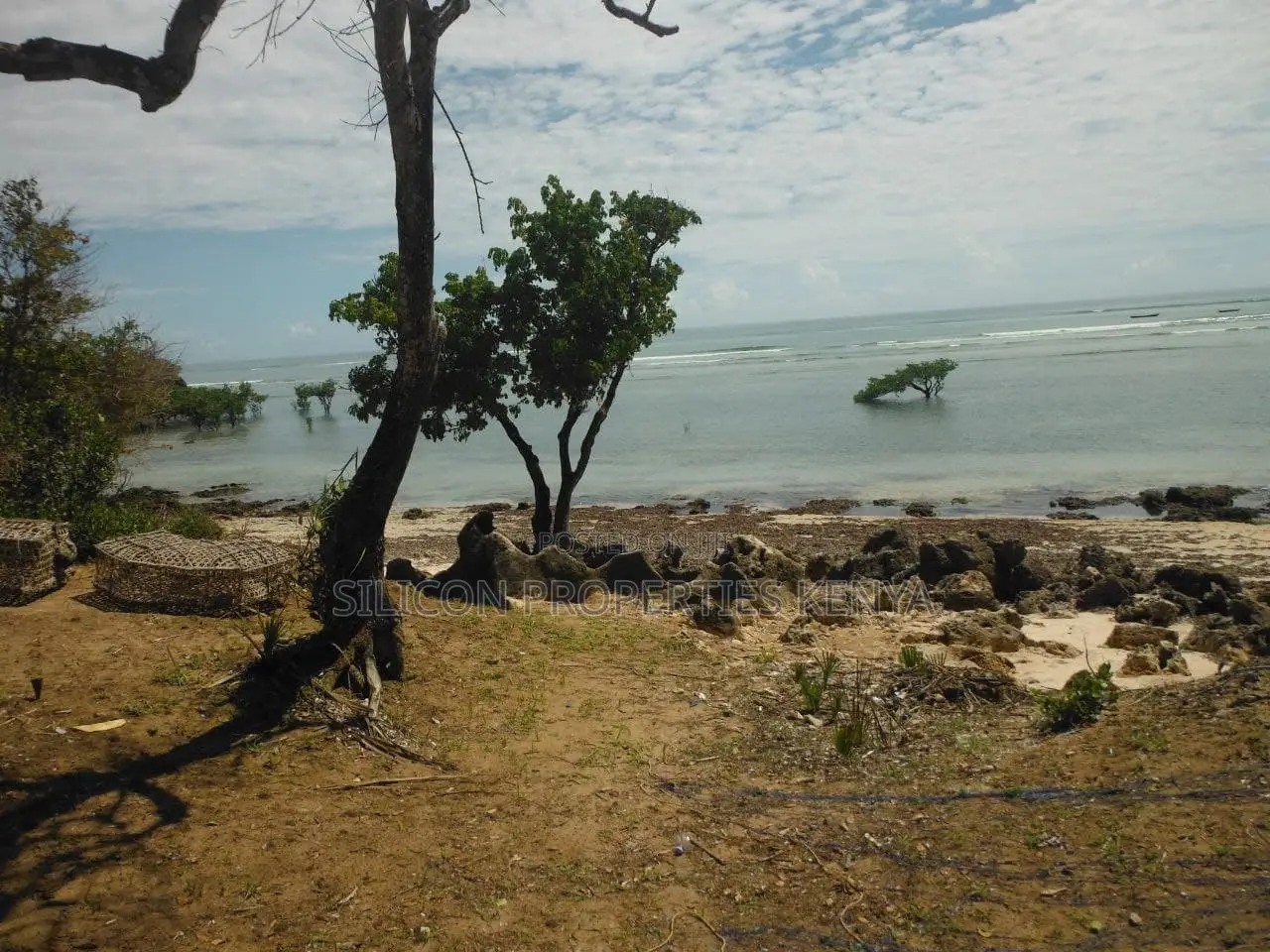 5-Acre Coral Beachfront Plot in Msambweni in Diani