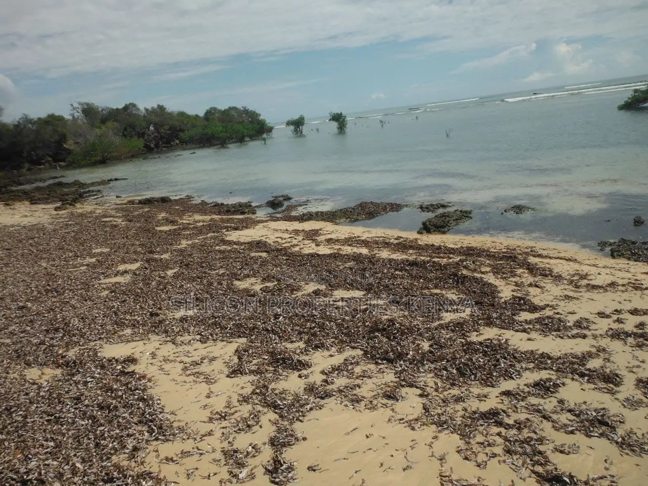 5-Acre Coral Beachfront Plot in Msambweni in Diani