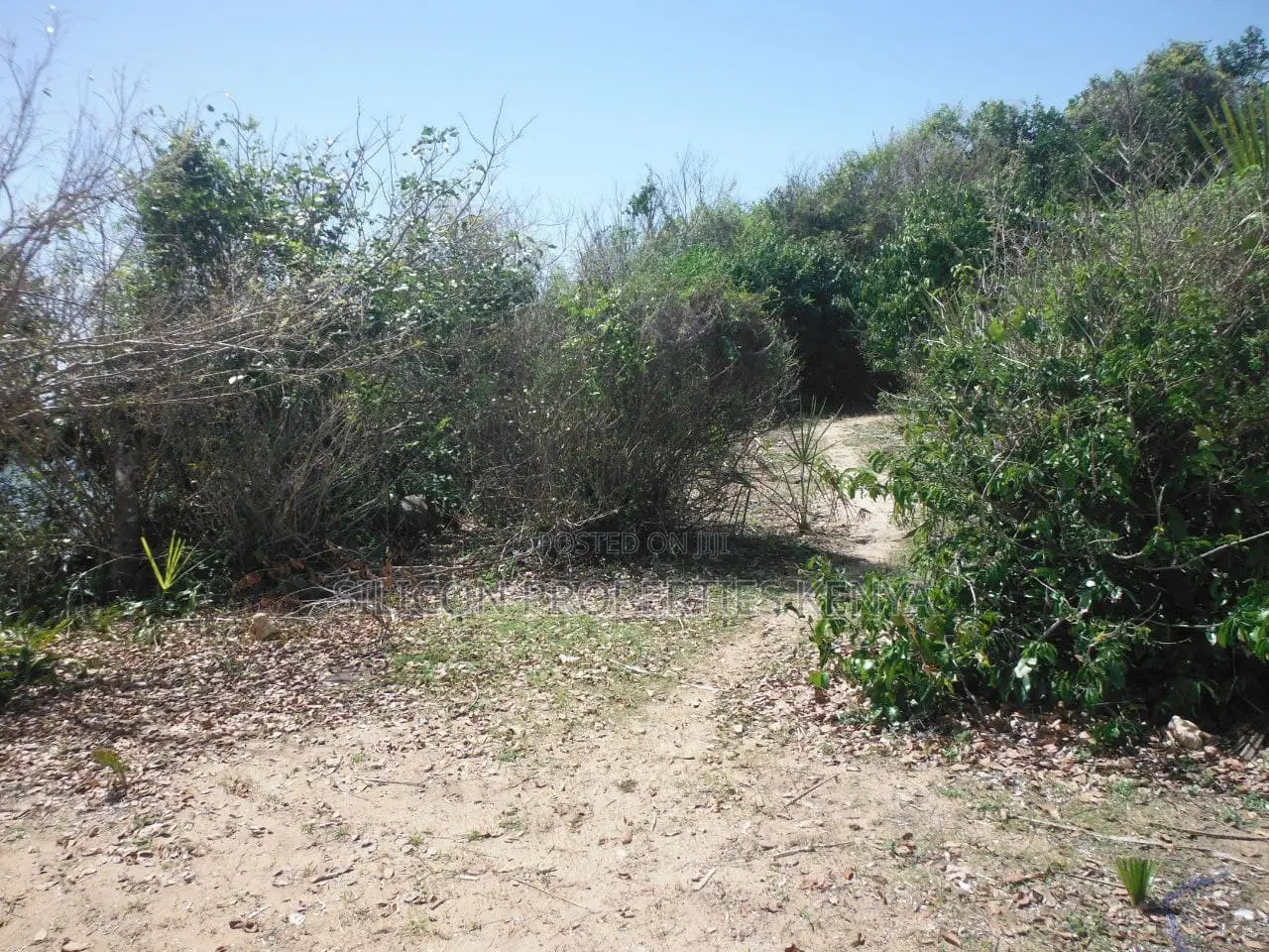 5-Acre Coral Beachfront Plot in Msambweni in Diani