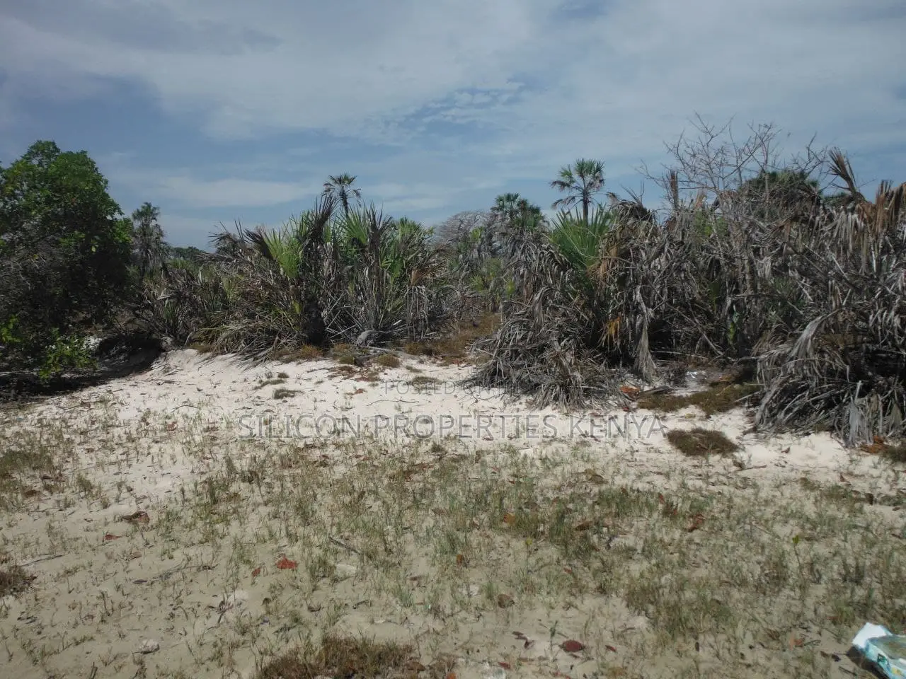 1-Acre Beachfront Plot in Msambweni (Funzi) in Diani