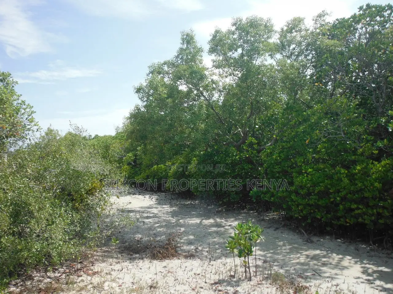 1-Acre Beachfront Plot in Msambweni (Funzi) in Diani
