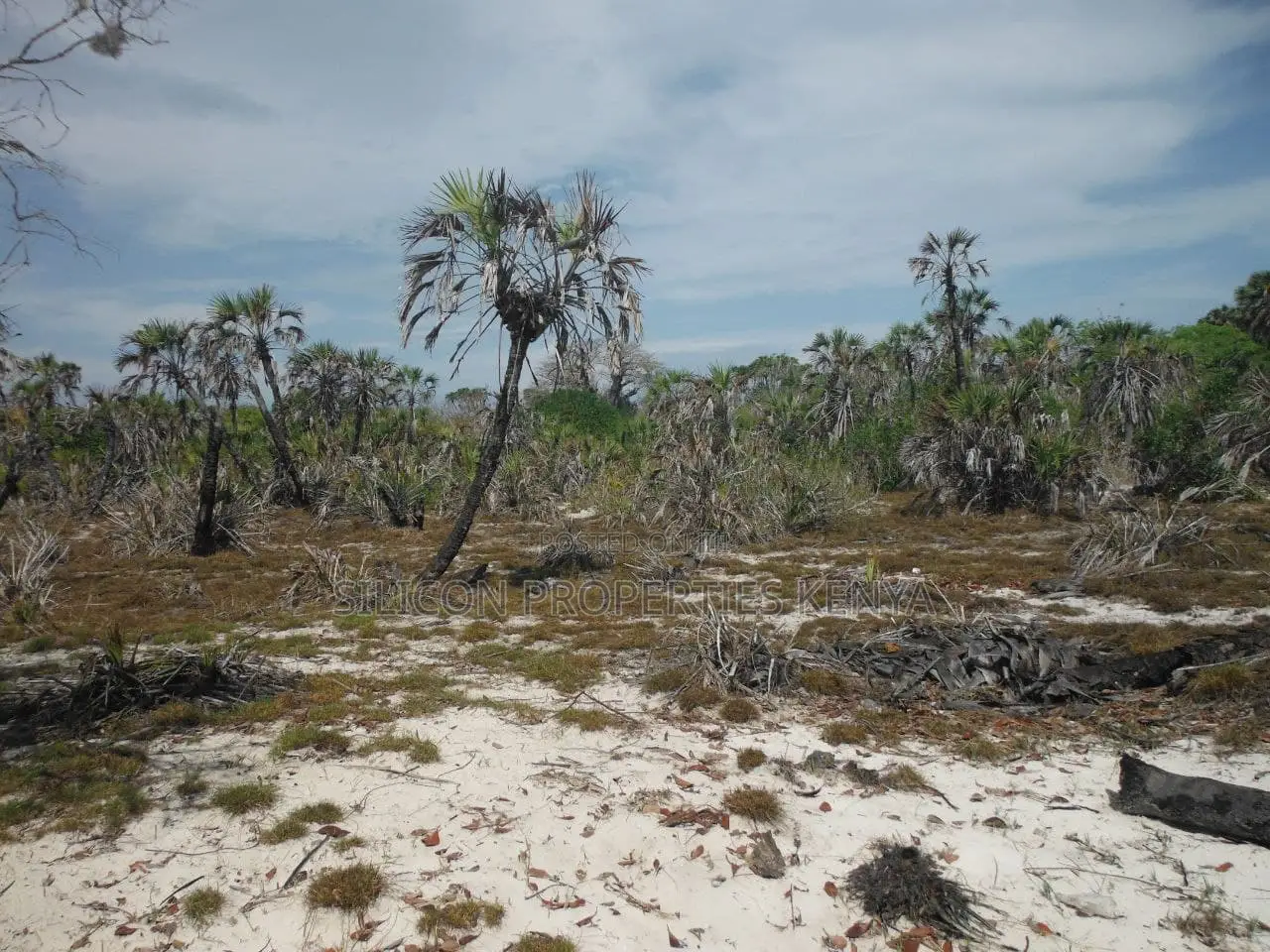 1-Acre Beachfront Plot in Msambweni (Funzi) in Diani