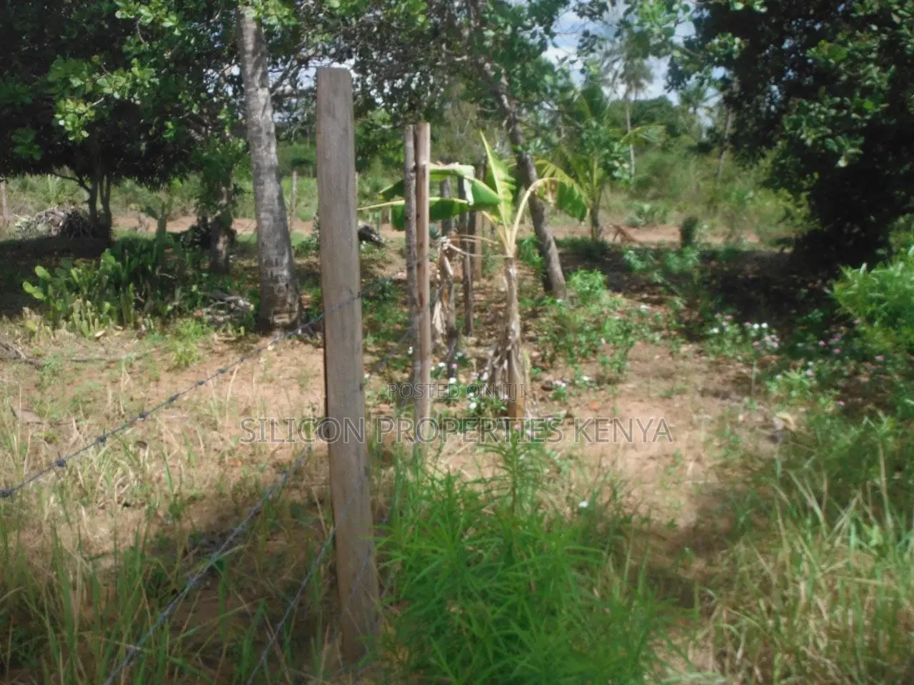 0.25-Acre Plot in Mvindeni in Diani