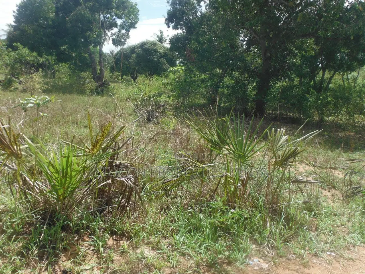 0.25-Acre Plot in Mvindeni in Diani