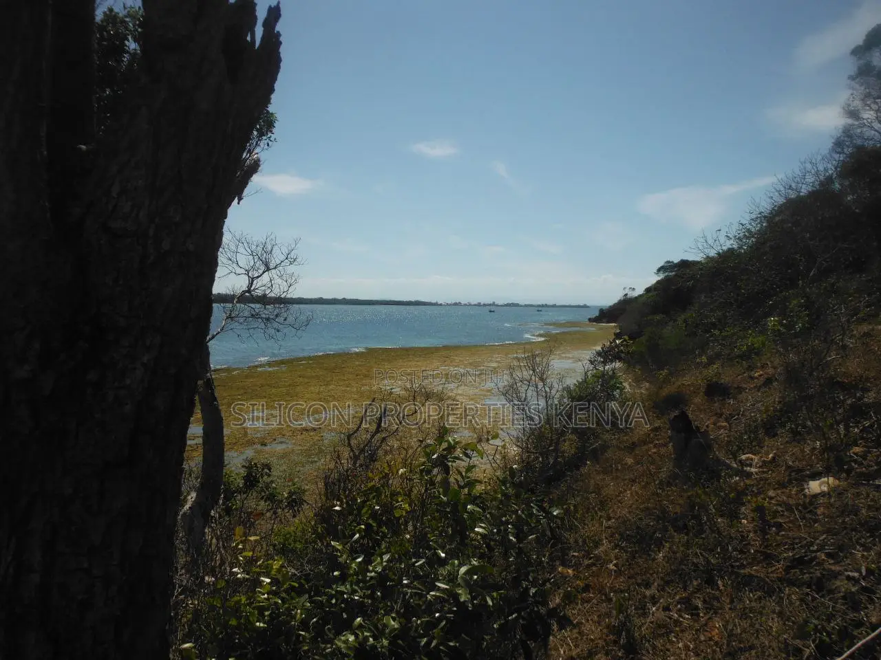 Stunning Coral Land in Shimoni in Diani