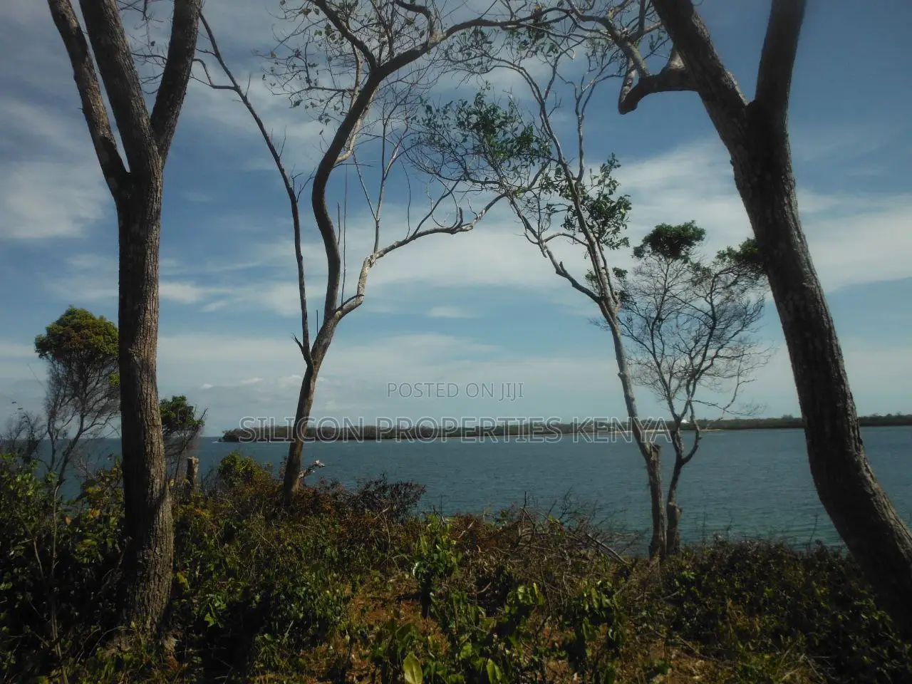 Stunning Coral Land in Shimoni in Diani