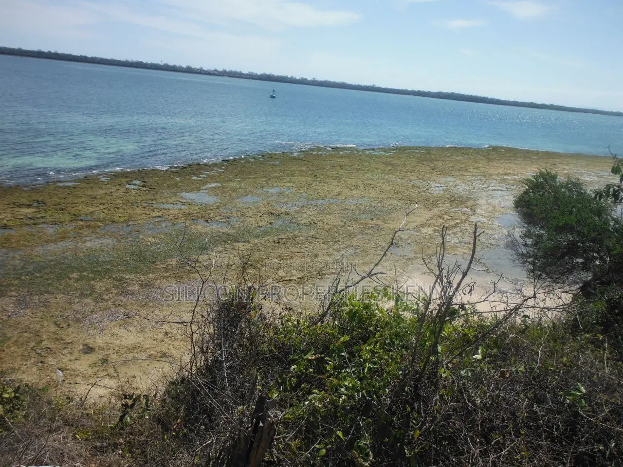 Stunning Coral Land in Shimoni in Diani