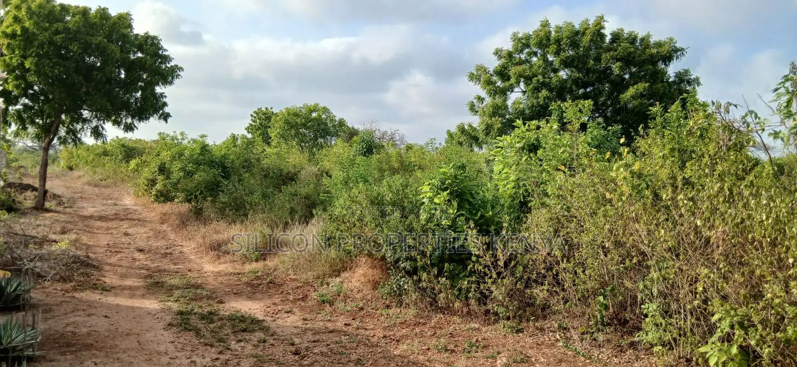 Quarter-Acre Plot for Sale in Galu Kinondo – in Diani