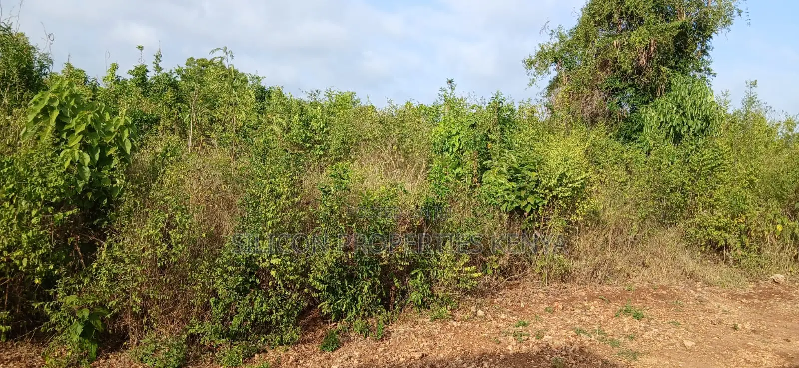 Quarter-Acre Plot for Sale in Galu Kinondo – in Diani