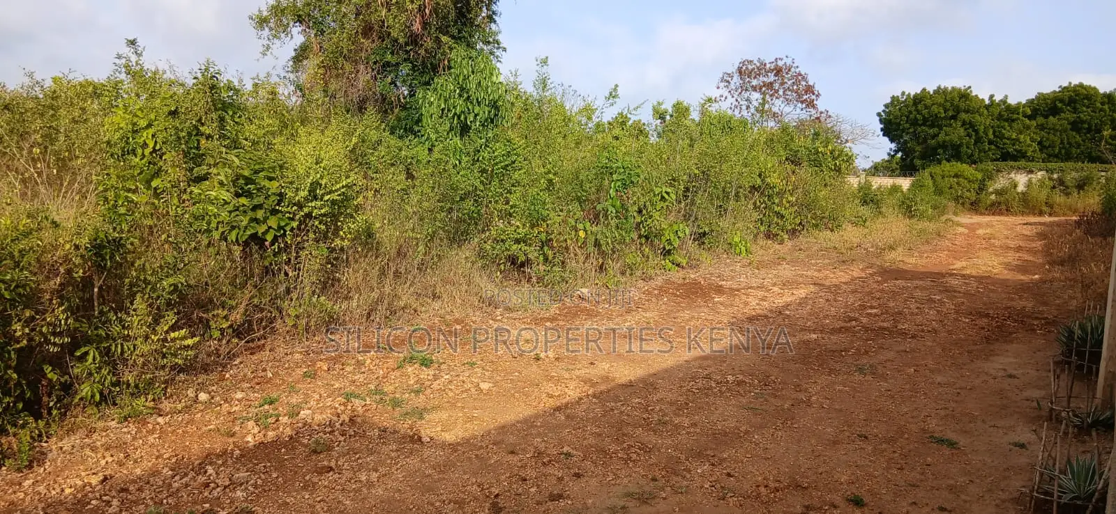Quarter-Acre Plot for Sale in Galu Kinondo – in Diani