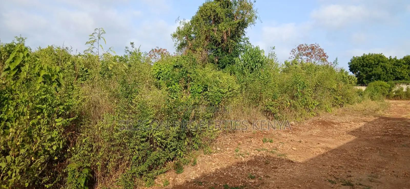 Quarter-Acre Plot for Sale in Galu Kinondo – in Diani