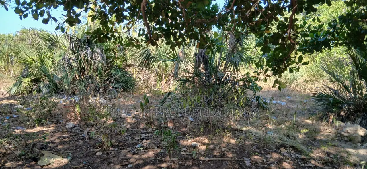 Half-Acre Plot Strategically Located Along the Mvindeni-Lotfa-Diani Rd in Diani