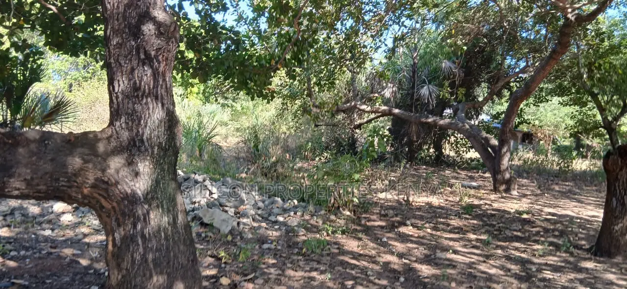 Half-Acre Plot Strategically Located Along the Mvindeni-Lotfa-Diani Rd in Diani