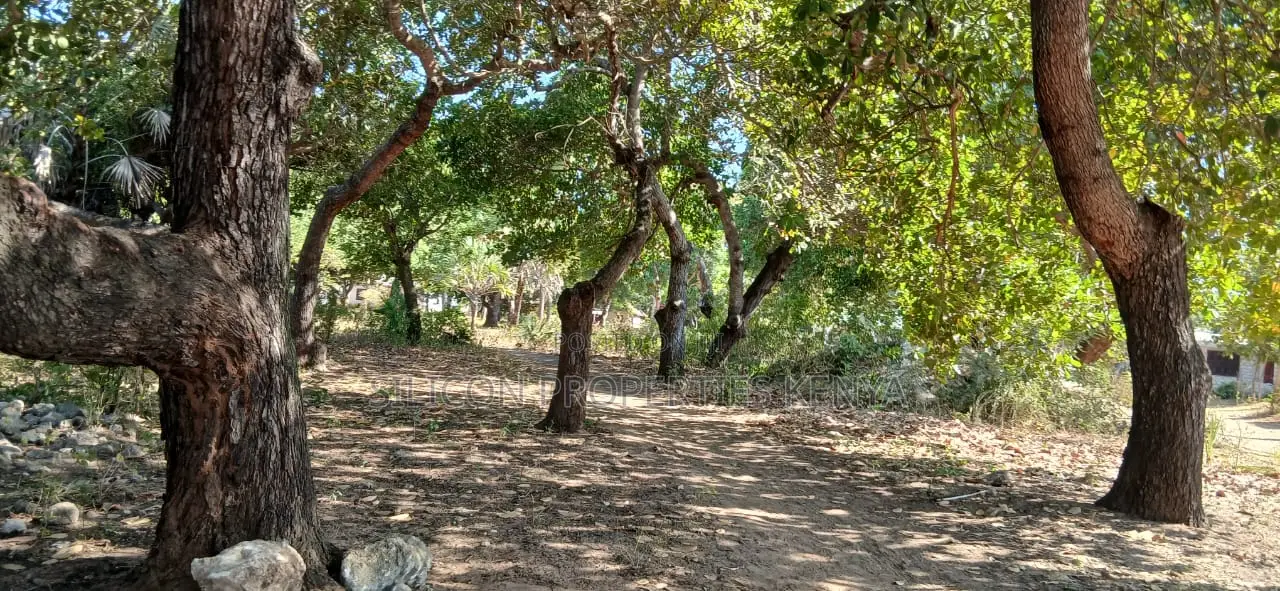 Half-Acre Plot Strategically Located Along the Mvindeni-Lotfa-Diani Rd in Diani