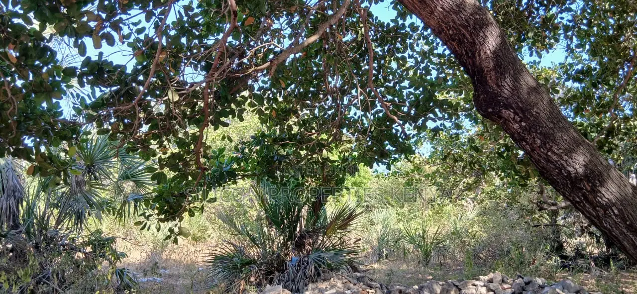 Half-Acre Plot Strategically Located Along the Mvindeni-Lotfa-Diani Rd in Diani