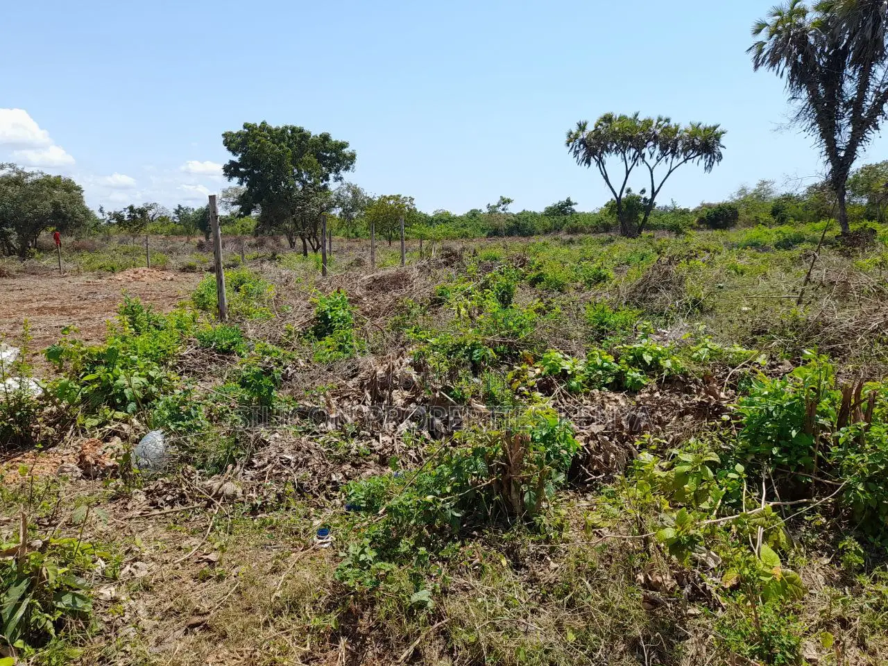 0.25 Acre in Diani, Galu Area in Diani