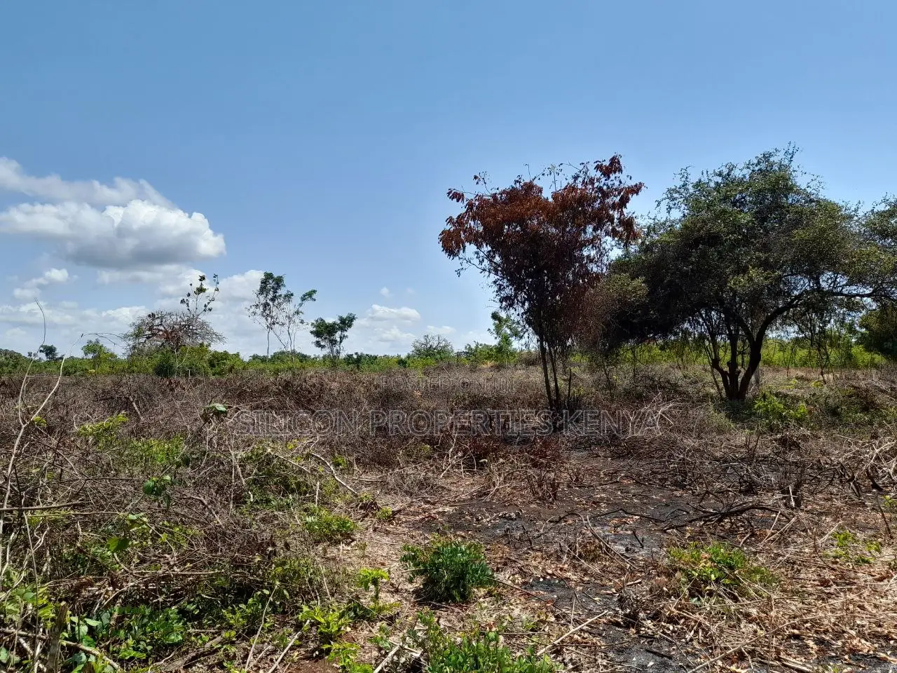 0.25 Acre in Diani, Galu Area in Diani