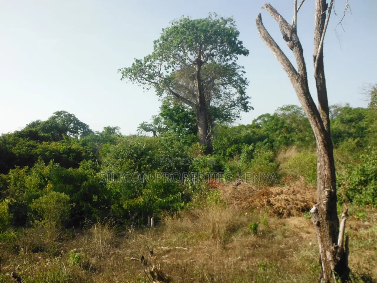 0.25 Acres for Sale in Shimoni in Diani